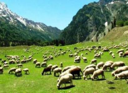 Srinagar Pahalgam Sonamarg Gulmarg Patnitop & Mata Vaisnodevi (Jammu & Kashmir)