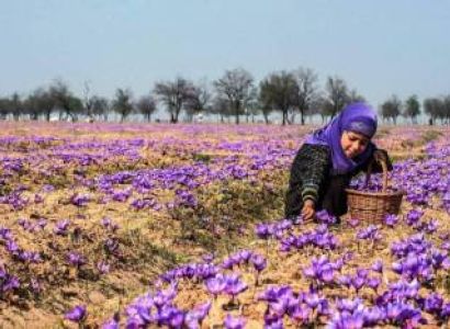 Srinagar Pahalgam Sonamarg Gulmarg Patnitop & Mata Vaisnodevi (Jammu & Kashmir)