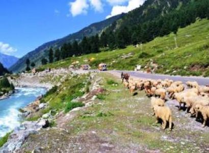 Srinagar Pahalgam Sonamarg Gulmarg Patnitop & Mata Vaisnodevi (Jammu & Kashmir)