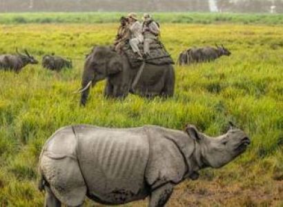 Guwahati Majuli Shivsagar Jorhat Kaziranga (Assam)