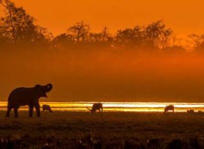 Guwahati Majuli Shivsagar Jorhat Kaziranga (Assam)
