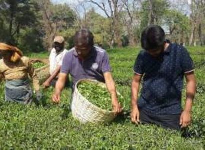 Dharamsala Dalhousie Khajjiar Palampur - Himachal Pradesh