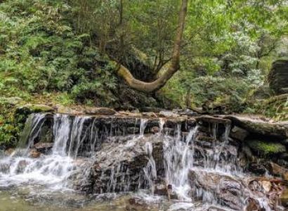 Kheerganga Waichin Jibhi Tirthan Himachal Tour