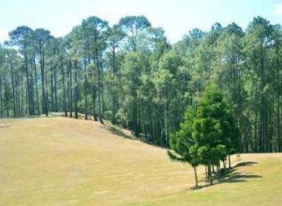 Nainital Munsiyari Kausani Raniketh - Uttarakhand Tour