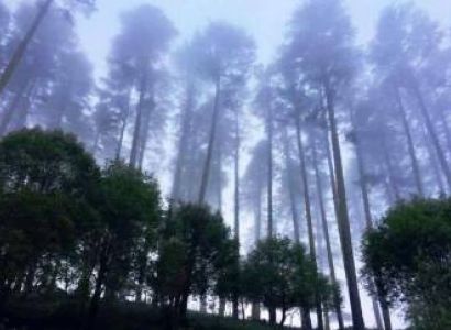 Mussorie Corbett Nainital - Uttarakhand Tour