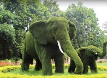 Ranchi Netarhat Betla (Jharkhand)