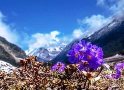 Sri Lanka Tour from Kolkata