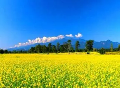 Shillong Tawang Kaziranga (Meghalaya - Assam - Arunachal)