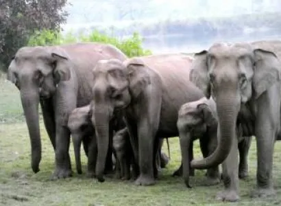 Shillong Tawang Kaziranga (Meghalaya - Assam - Arunachal)