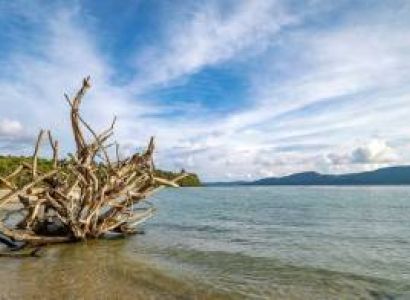 5N - 6D Andaman Package