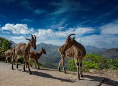 5N - 6D Kerala Package