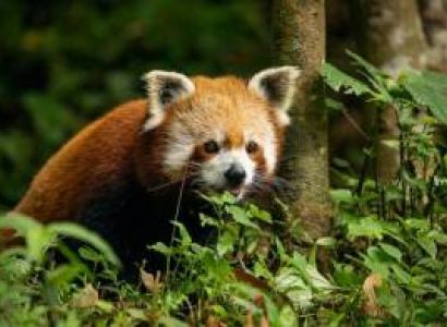 4N 5D Sikkim Tour Package