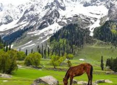 10 Nights - 11 Days Amazing Kashmir Tour