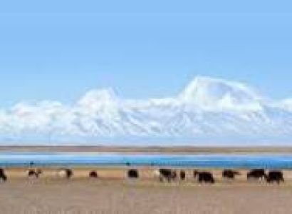 10 Nights - 11 Days Amazing Kashmir Tour