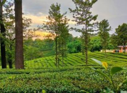 6 Days Amritsar - Dalhousie - Dharamshala Tour