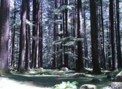 Manali 4 Night 5 Days Package