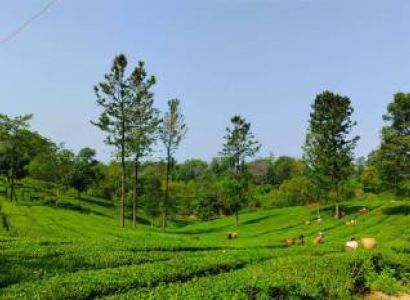 Shimla - Kullu - Manali - Dharamshala - Mcleodganj - Dalhousie Tour