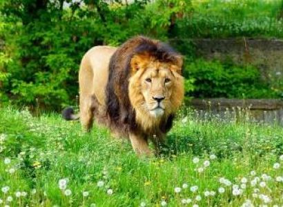 Ahmedabad Tour Package fron Trichy - Chennai - Tamilnadu 3 Nights - 4 Days