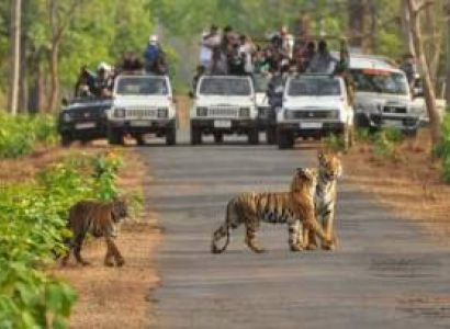 Rajasthan Tour Package from Trichy - Chennai - Tamilnadu 10 Nights - 11 Days