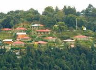 5 Days and 4 Nights Shimla Tour Package