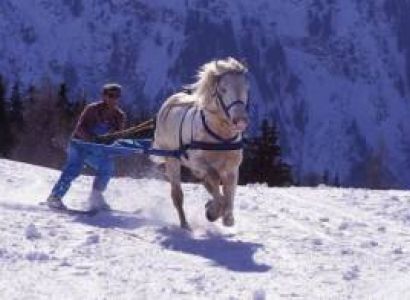 11 Days - 10 Nights Himachal Tour Package