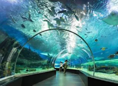 8 Days and 7 Nights China Tour Package