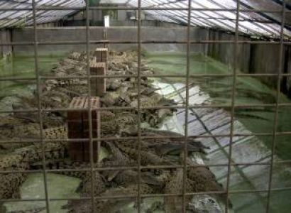 Langkawi Tour Package from Trichy - Chennai - Tamilnadu 2 Nights - 3 Days