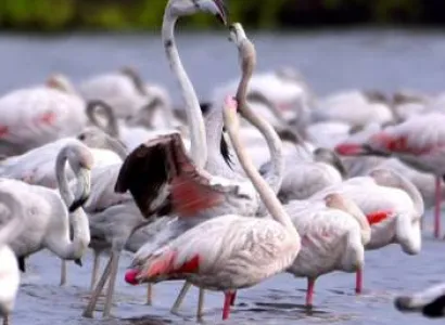 Rajasthan Tour Package from Trichy - Chennai - Tamilnadu 10 Nights - 11 Days