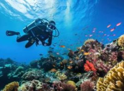 Andaman Tour Package 4 Nights - 5 Days