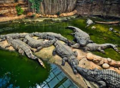 Malaysia Tourism 2 Nights - 3 Days