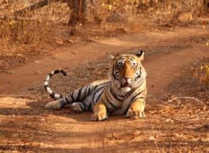 Odisha Tourism 5 Nights - 6 Days