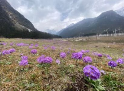 North East India Tourism 8 Nights - 9 Days