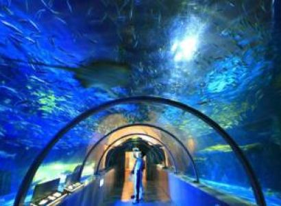 Bangkok - Pattaya Tour Package from Trichy - Chennai - Tamilnadu 4 Nights - 5 Days