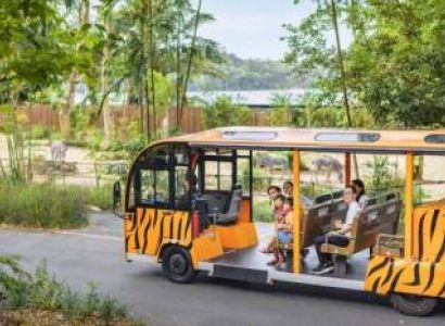 Tour Packages Of Singapore