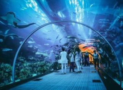 Tour Packages Of Singapore