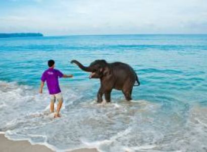 Andaman Tour Package