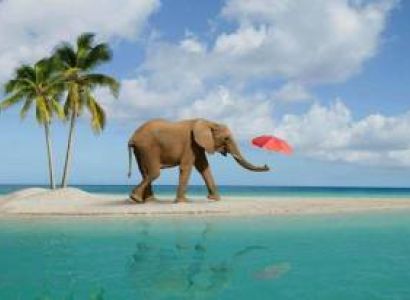 Andaman Tour Itinerary from Trichy - Chennai - Tamilnadu