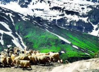 2 Night 3 Days Bagdogra Airport / New Jalpaiguri Railway Station  To Darjeeling