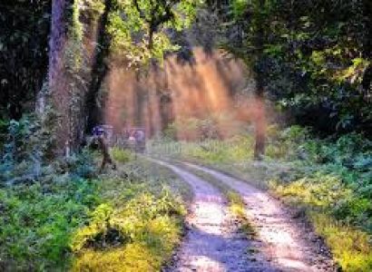 5 Days 4 Night Bagdogra Airport Dooars