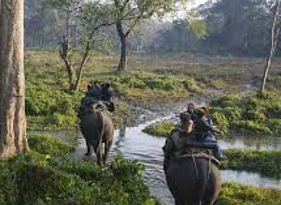 5 Days 4 Night Bagdogra Airport Dooars