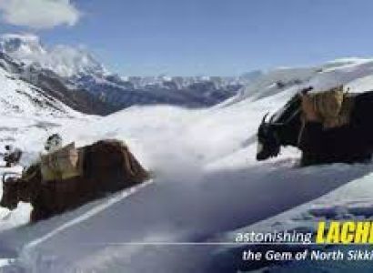 Bagdogra Tour Packages