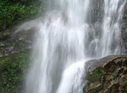 Bagdogra Tour Packages