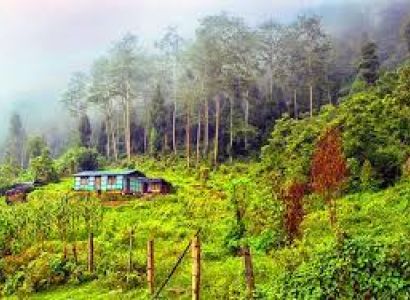 4 Night 5  Days Bagdogra Airport To Silk Route Tour