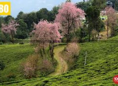 3 Night 4 Days Bagdogra Airport - New Jalpaiguri Railway Station to Gangtok Tour