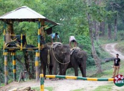 3 Night 4 Days Jungle Safari