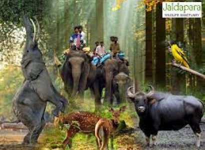 3 Night 4 Days Jungle Safari