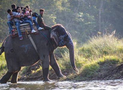 3 Night 4 Days Jungle Safari