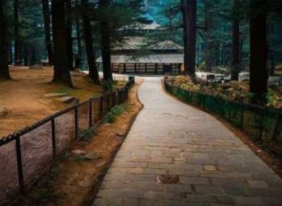 5 day 4 Night. Complete package Delhi to Delhi