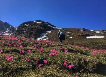 Nalagarh Tour Packages