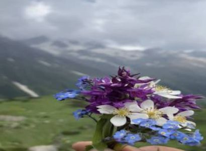 5night 6 Day Dav Roopa Trek